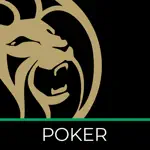 BetMGM Poker | Michigan Casino App Alternatives