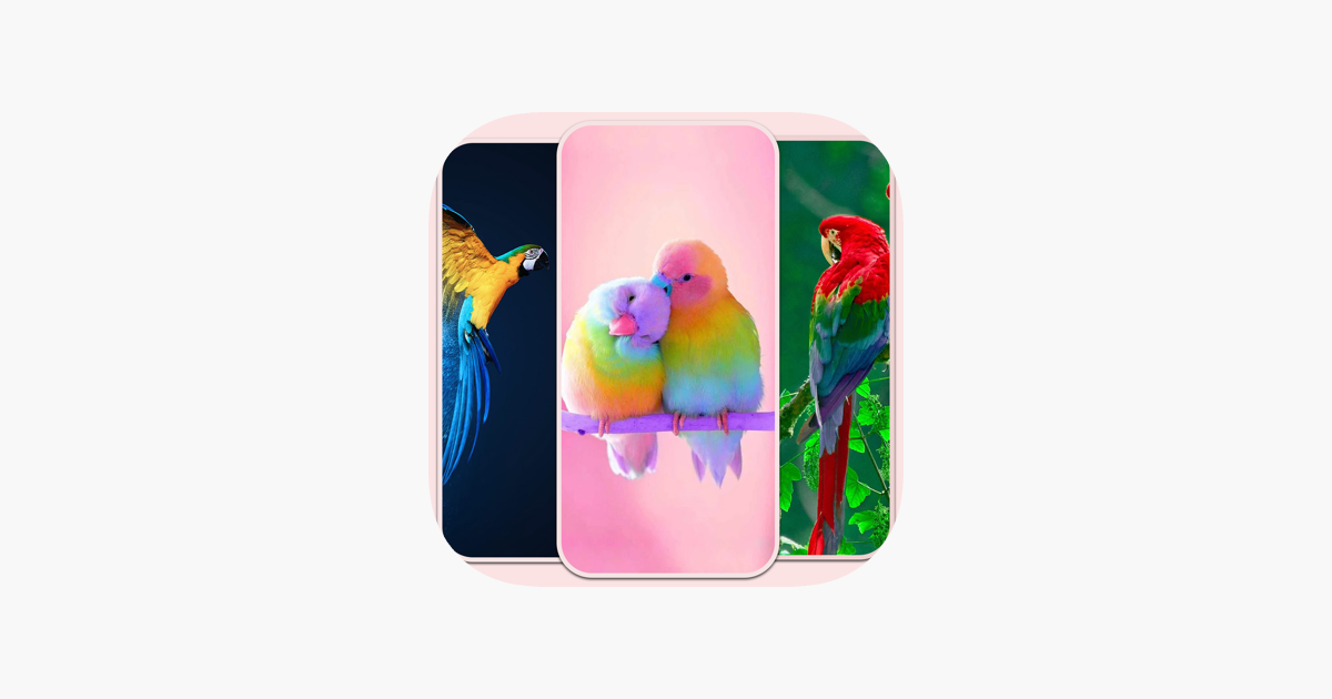 ‎Birds live Wallpaper - 4k on the App Store