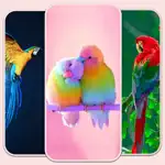 Birds live Wallpaper - 4k App Support