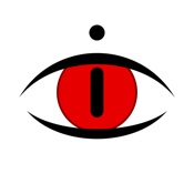 dideye *Flashback video camera