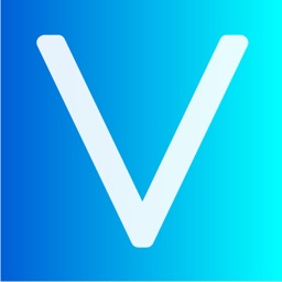 Vinci Wallet