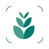 PlantBox - Gardening assistant App Delete