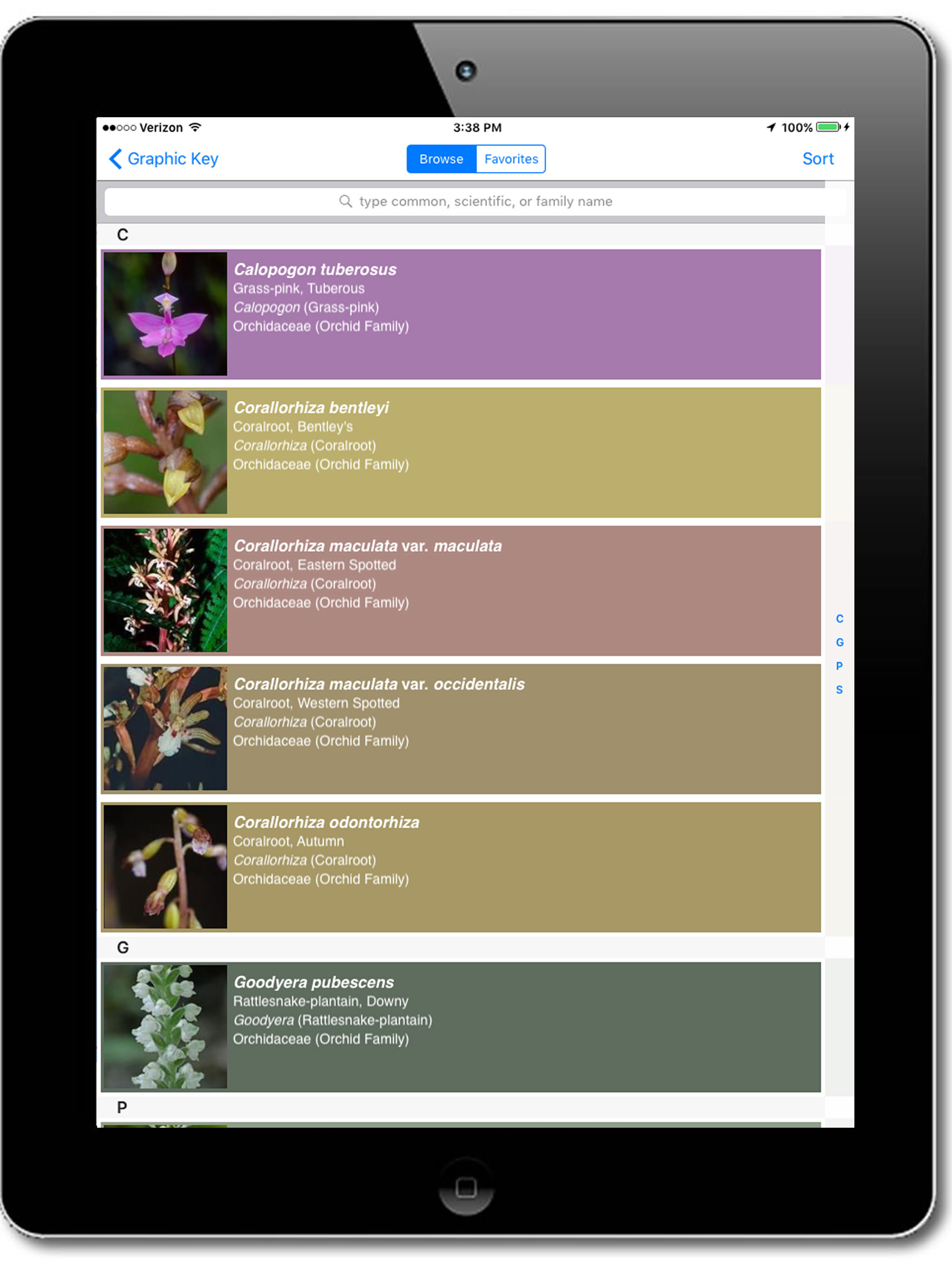 Flora of Virginia screenshot 14