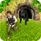 Forest Adventure Run - Free Action, adventurer and Fantasy Running Game