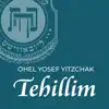 Kehot Tehillim problems & troubleshooting and solutions