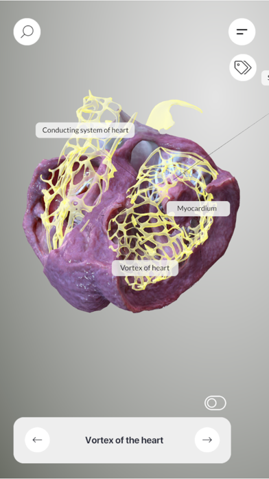 3D Heart Anatomyのおすすめ画像3