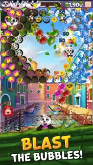bubble shooter - panda pop! problems & solutions and troubleshooting guide - 4
