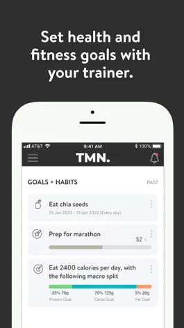 Game screenshot TMN Online hack