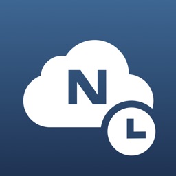 NetSuite Time Clock