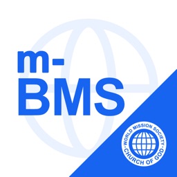 m-BMS