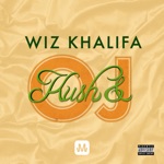 Download Wiz Khalifa - Kush & OJ app