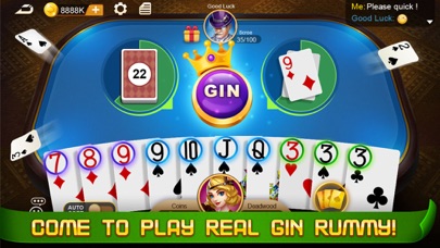 Gin Rummy !! screenshot 1