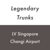 LV Singapore Changi 4