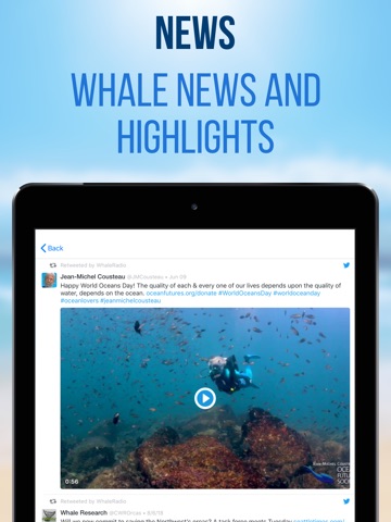 Whale Radio iPad screenshot