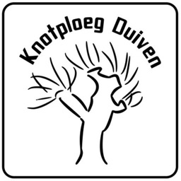 KnotPloegD