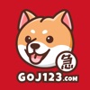 Icon GoGoJumpVPN