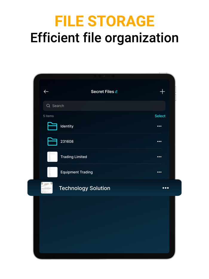 Media Vault - SmartSafe