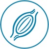 Sumus