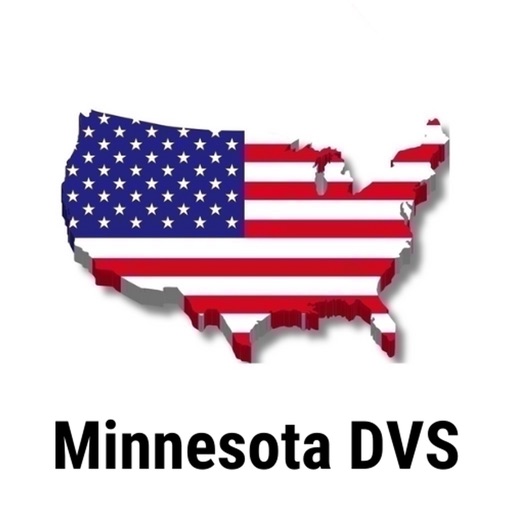 Minnesota DVS Permit Practice