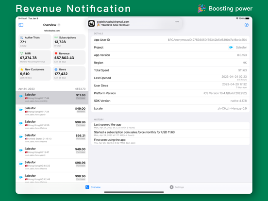 SalesCat for RevenueCat iPad screenshot 6 - Developer Tools app