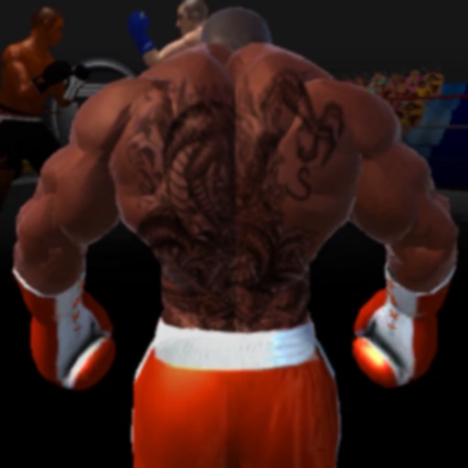 Virtual Boxing 3D Game Fight icon
