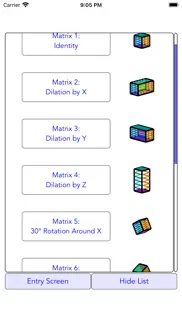 matrix solver step by step iphone screenshot 4