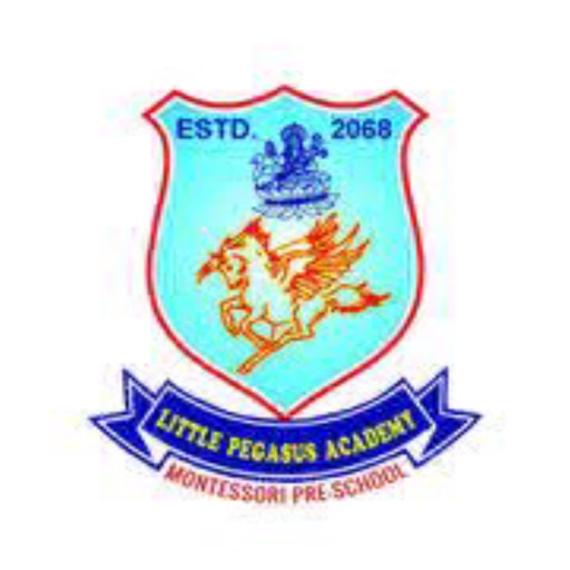 Little Pegasus Academy School icon