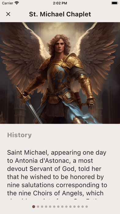 Nine Choirs Of Angels Screenshot