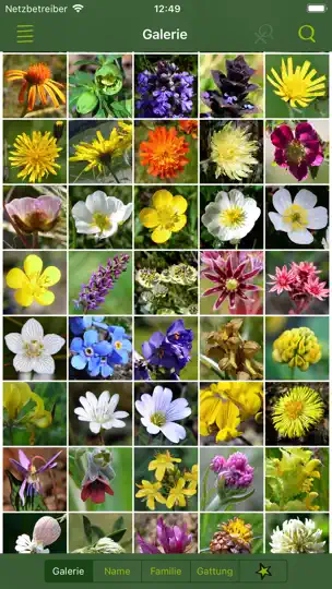 Screenshot von Alpenblumen Finder Europa auf dem iPhone 2