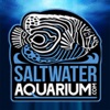 Saltwater Aquarium App icon
