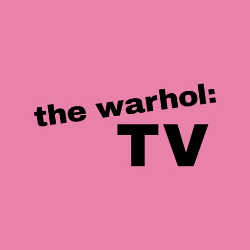 The Warhol: TV icon