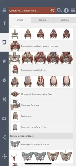 Game screenshot Primal's 3D Female Pelvis apk