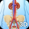 Urinary System - iPadアプリ