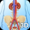 Urinary System icon