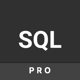 SQL Playground(Pro)