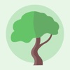 Banyan Assistant