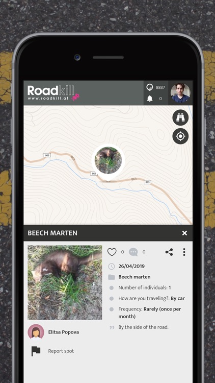 Roadkill | SPOTTERON