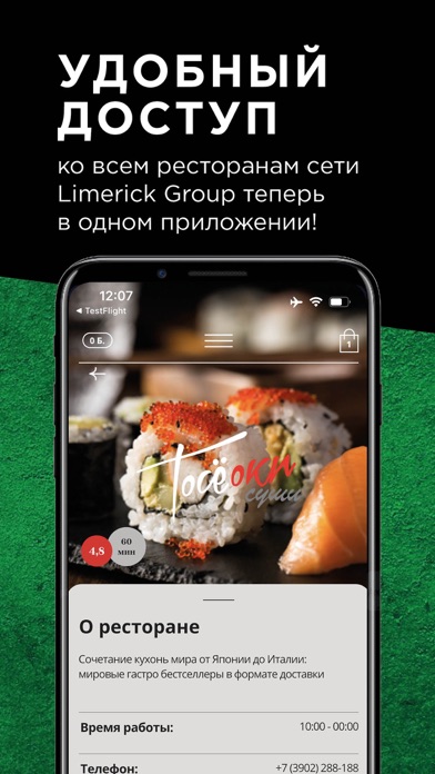 LimerickGroup Screenshot