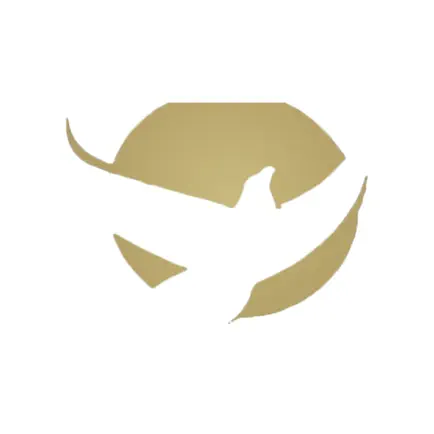 Hope Rockford Cheats