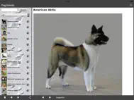 Breeds of Dogs ipad bilder 3