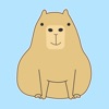 Cute Capybara Expressions