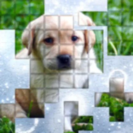 PicPu - Dog Picture Puzzle Cheats