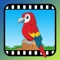 48 HD video clips of wild birds