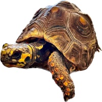 Meet Frank!! app icon - Entertainment app for iPhone