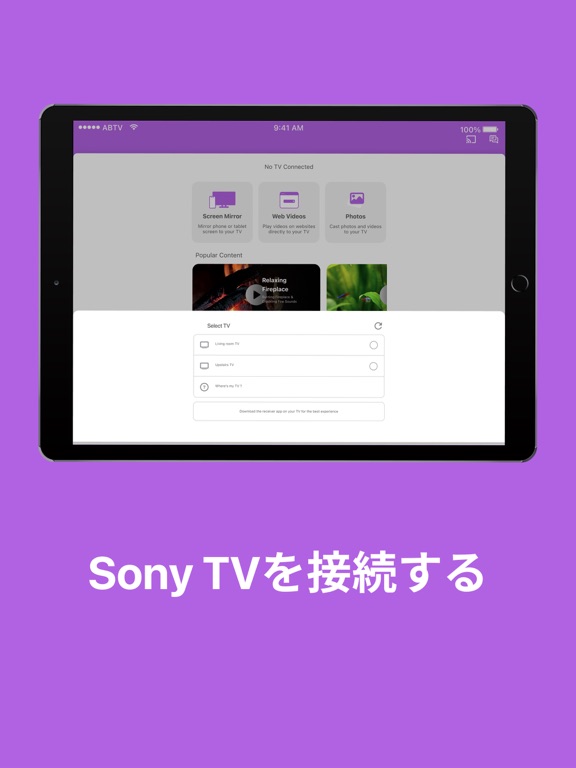 ミラーリン Sony TV 画面ミラーリングのおすすめ画像9