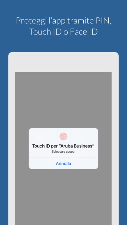 Aruba Business