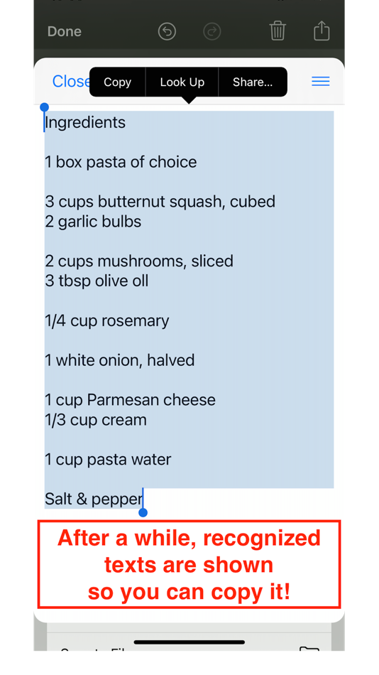 #5. SnapRu (iOS) 由: Shoji Kodama