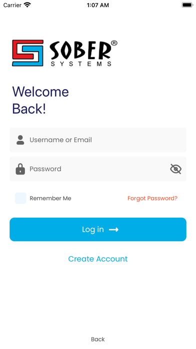 Sobersystems