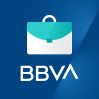 BBVA Net Cash  PE