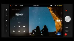 reco - 4k video & film filter problems & solutions and troubleshooting guide - 3